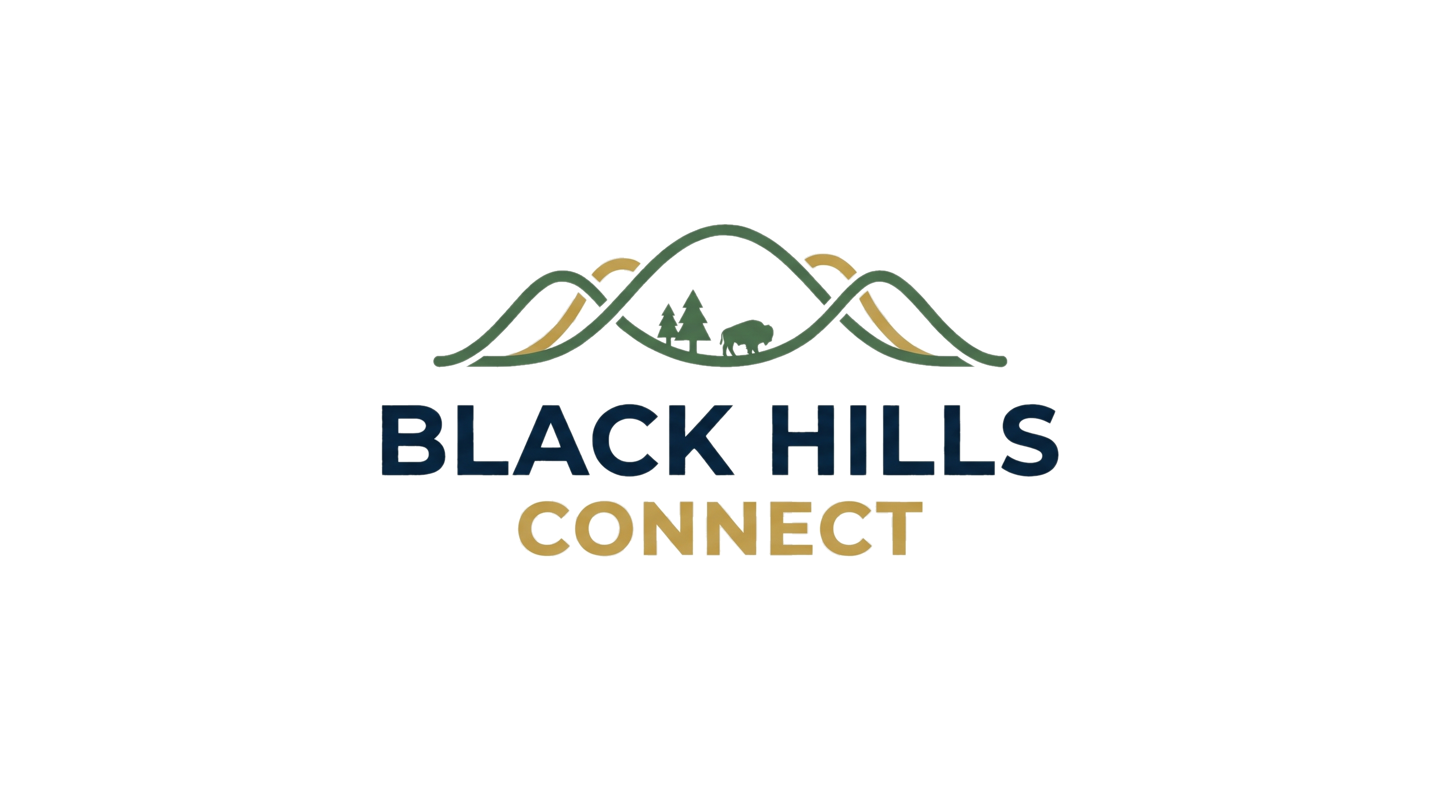 Black Hills Connect